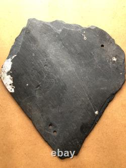 1800s Fire Department Sign Engraved Slate Civil War General Folk Art Antique