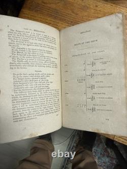 Civil War Confederate Book Owned General George Stuart Regulations Militia Photo