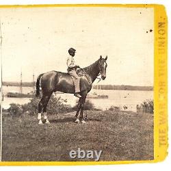 Civil War General's Horse Stereoview c1864 Cold Harbor Virginia Black Boy H935