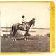 Civil War General's Horse Stereoview C1864 Cold Harbor Virginia Black Boy H935