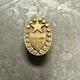 Civil War Veteran Union General Staff Lapel Pin