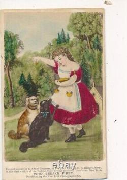 Kansas & Missouri Album Including Lincoln Solitary Pine & Civil War Generals