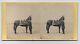 Ulysees S. Grant & His Favorite Horse Cincinnati Mathew Brady Civil War 1862 Sv